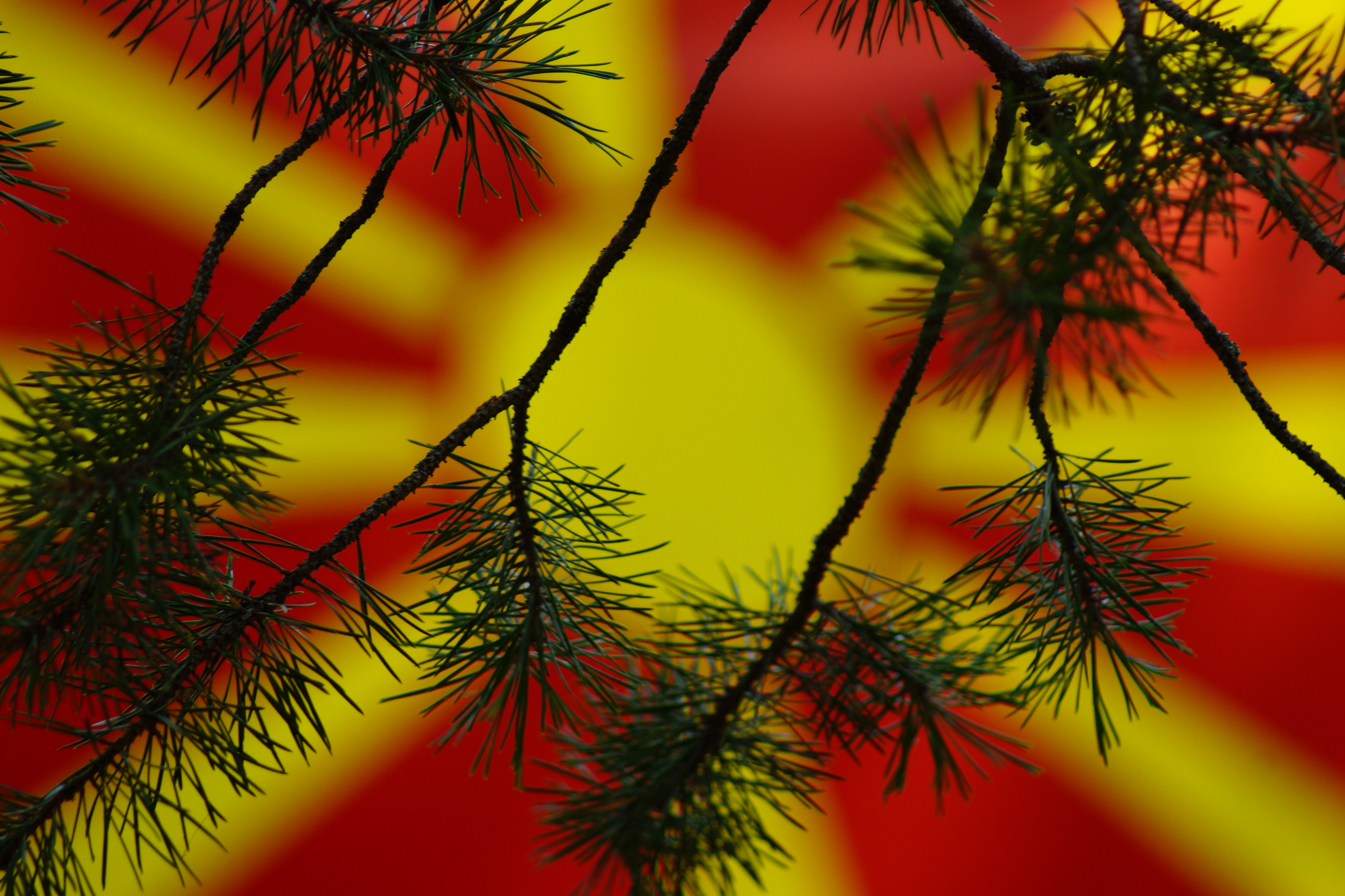 Above the peaks - Macedonian flag